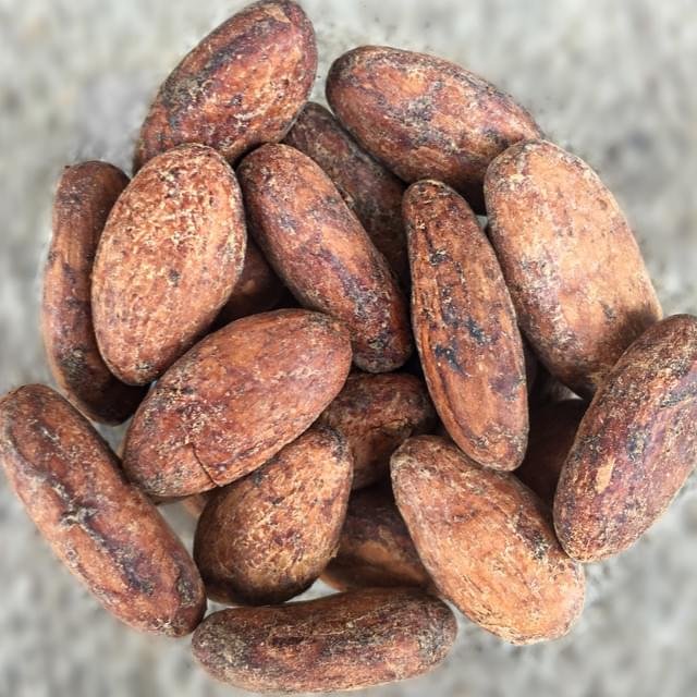 Organic Cacao Beans - Image 3