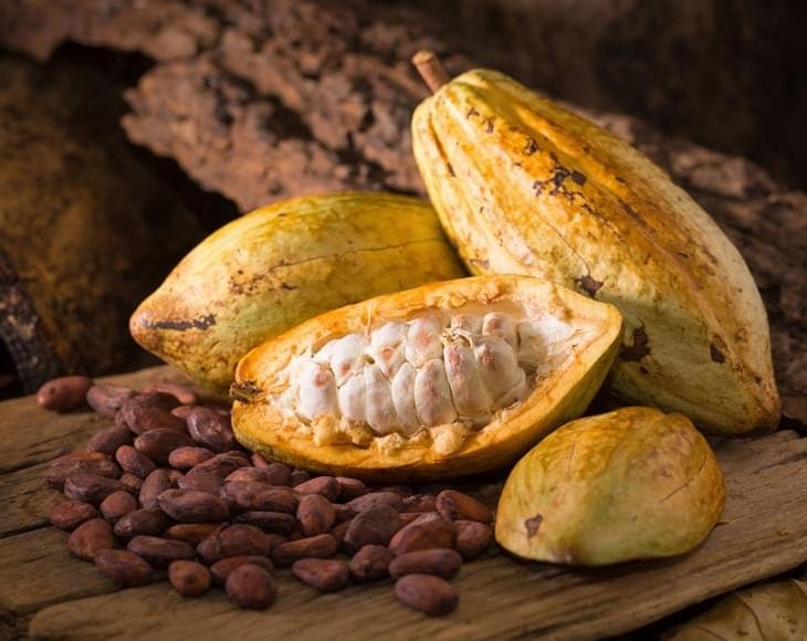 Organic Cacao Beans