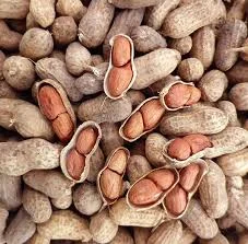 PEANUTS
