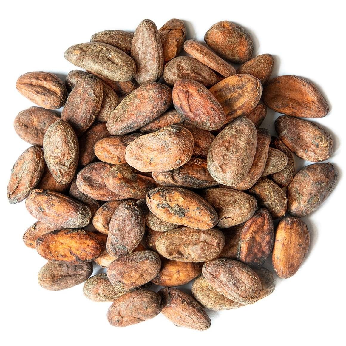Organic Cacao Beans - Image 2